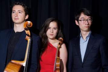 Amatis Trio 1a banner