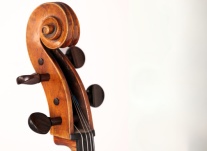 MCS Award 4 News Banner 584 x 386 px